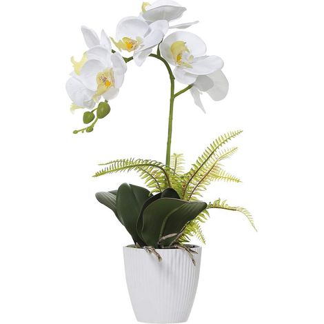 Orchidée Artificielle Blanche, avec Vase Blanc, Déco Intérieure (1/5)