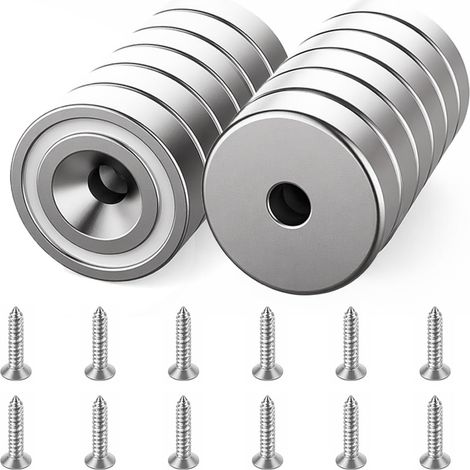 12 pièces Aimants en Néodyme 10 KG Force, Aimant à Disque avec Vis, Argent (1/5)