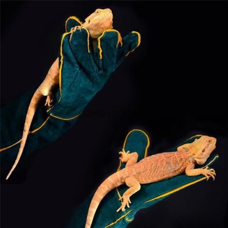 Gants de morsure de sécurité - - ET17879 - Cuir renforcé - Résistant à la chaleur - Ultra long (1/4)