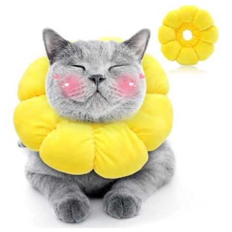 Collerette pour Chat - fy - Réglable - Anti-Morsure - Confortable - Forme de Tournesol (1/4)