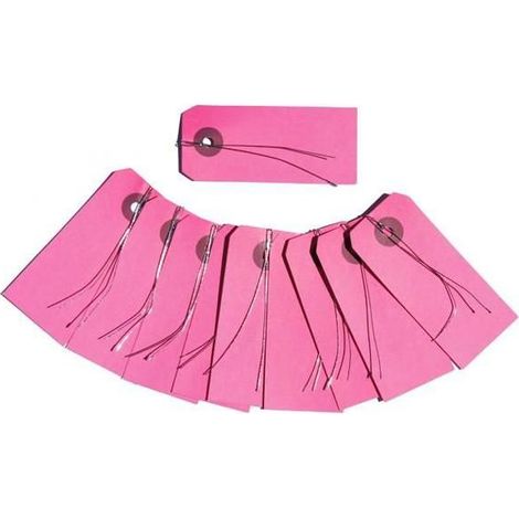 Etiquettes rose avec fil métallique x 10