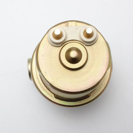 Universelle elektrische Kraftstoffpumpe für Dieselmotoren P76924 12V (1/4)