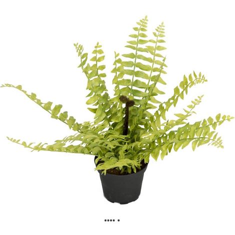 Fougère Capillaire artificielle en pot H 30 cm, D 35 cm