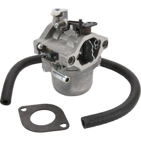 Vergaser 794653 BRIGGS et STRATTON Nikki (1/2)