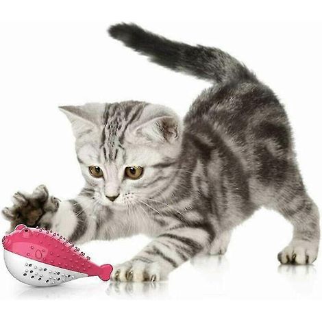 Jouet dentaire pour chat, jouet à mâcher en silicone pour chatons, herbe à chat