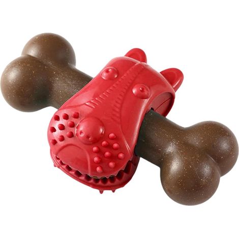 Jouet chien dentition os, stimulation nettoyage dents anti-stress (1/5)