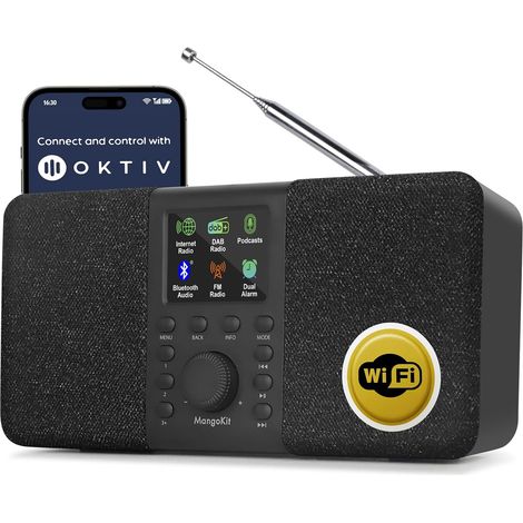 SR20 Radio Internet Stéréo avec Radio Numérique Dab/Dab+,WiFi avec Lecteur de Podcasts,Intelligente avec Bluetooth,FM,de Cuisine Secteur et Batterie,écran Couleur,Alarmes Doubles-Noir (1/5)