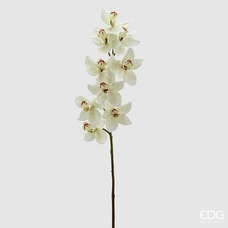 EDG Enzo De Gasperi Orchidea Cymbidium H 90 Cm Bianco Verde