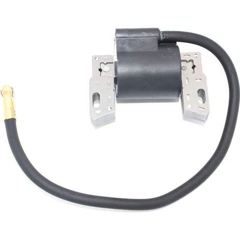 Coil d'allumage magnéto armature compatible avec Briggs et Stratton 591420 793281 793352 792594 395489 398593 496914 H330 (1/4)