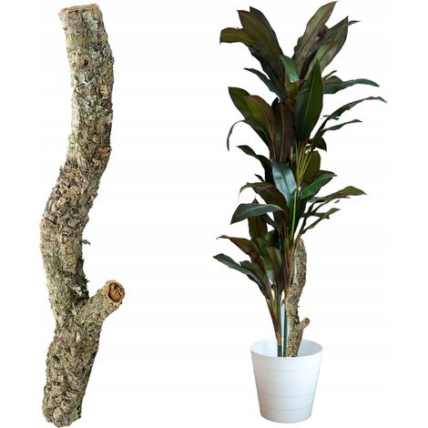 Stütze für Blumen, Stütze für Pflanzen, Ast 30 cm (1/5)