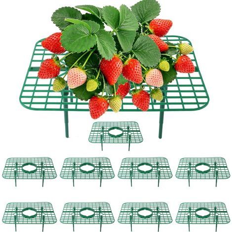 Erdbeerpflanzenstützen, 10er-Set, quadratische Stützen, halten Erdbeeren vom Boden fern, wiederverwendbar für Garten und Gemüsepflanzgefäße (1/5)