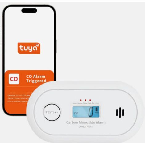 Détecteur de monoxyde de carbone, détecteur de CO portable, conception antidéflagrante, haute sensibilité (1/5)