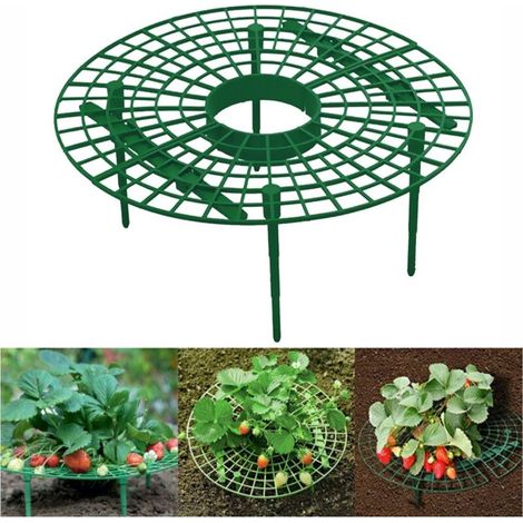 Ensemble de 6 supports à fraises en plastique, supports à légumes en plastique, supports de plantation de fruits étanches, cage à paille (1/5)
