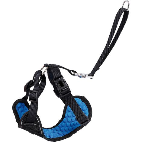 Small: Kit pettorina per trasporto cani in auto
