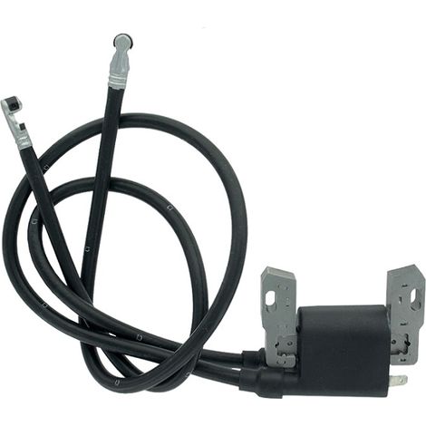 Distanza tra gli elettrodi della bobina di accensione: 63,5 mm per tosaerba Briggs & Stratton 590781 422700