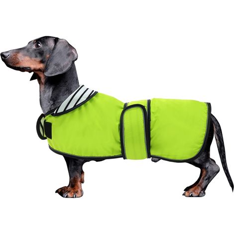 Imperméable pour chien TuseRxln - Imperméable et respirant avec doublure en maille - 1 pièce - Pour teckels et chiens de petite et moyenne taille - Vert (1/5)