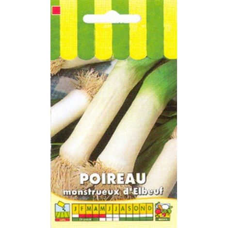 Poireau monstrueux d'Elbeuf – Semis fin d'hiver – Variété précoce résistante au froid – Environ 1600 graines – Poids net 4g – Graines Bocquet