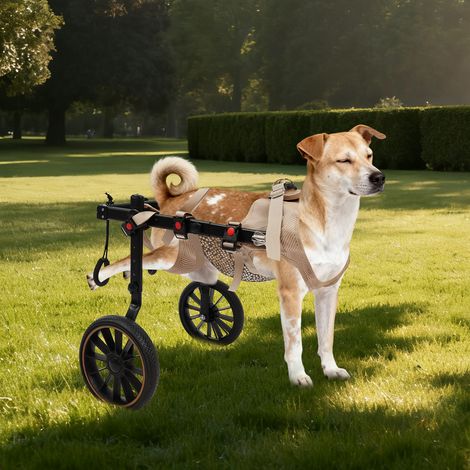 Fauteuil roulant pour chien, chariot réglable pour pattes arrière, attelle de jambe pour chien et soutien des hanches, aide les petits animaux souffrant de membres arrières paralysés, XXL (1/5)