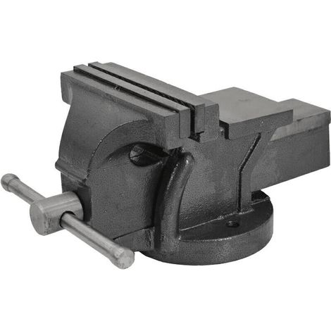 MORSA DA BANCO 125 mm INCUDINE PROFESSIONALE IN GHISA E ACCIAIO GANASCE 852aw