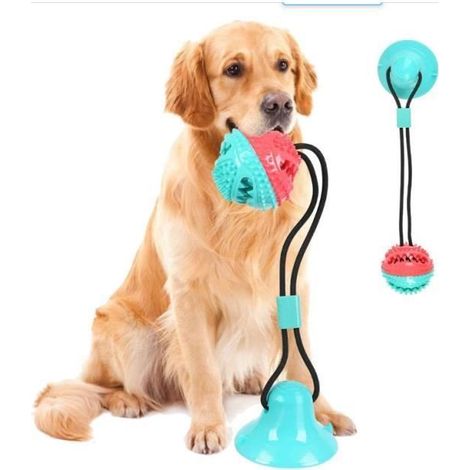 Jouet à mâcher - Non spécifié - Balle à ventouse - Caoutchouc et ABS - Pour chiens de taille moyenne - Extérieur (1/3)