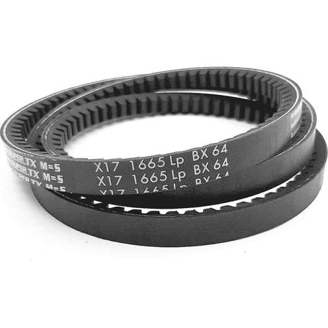 Courroie type trapézoïdale crantée BX64