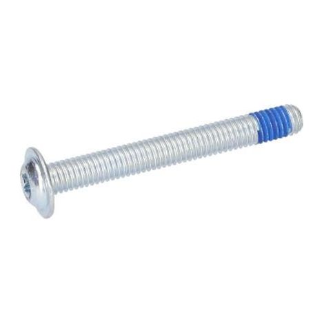 Vis a tete bombee torx pour Tondeuse a gazon BOSCH OUTILLAGES - 1613490011