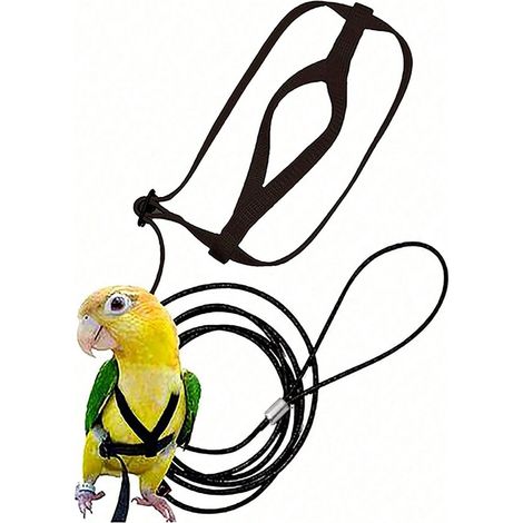 Harnais et laisse pour perroquet, sangle pour vol en extérieur, pour marcher avec oiseau, taille M, couleur noir (1/4)