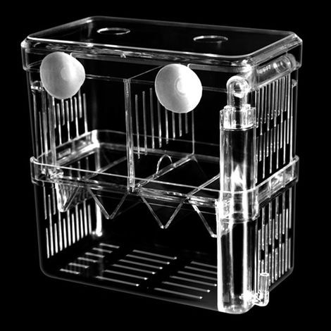 Aquarium Breeding Box, Insulated Compartment, Pneumatic Design, For Fry and Shrimp (1/5)