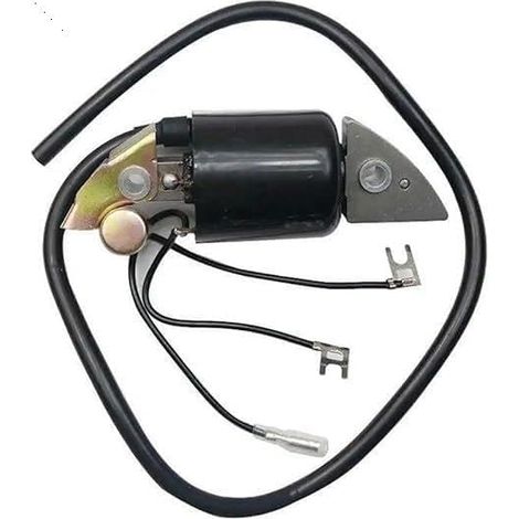 Zündmodulspule passend für G150, G200, G300, G400 Motoren 30500-887-303 30560-883-015, Zündspulen