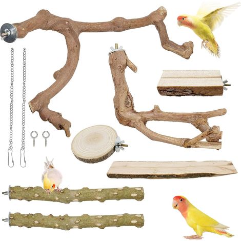 7 x Natural Perches for Birds, 5 Types Bird Perch Toy Parrot, Wood Feet Perches for Cage Accessories for Birds Canary Parakeet (1/5)