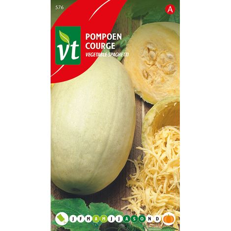 Courge Vegetable Spaghetti - Ca. 1,5 gr (Livraison Gratuite)