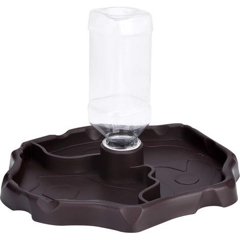 Bol d'eau de tortue de plat d'eau de reptile (marron) (1/3)