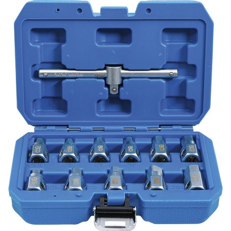Chiavi per tappi di scarico BGS Technic, 12 pezzi, cromo vanadio