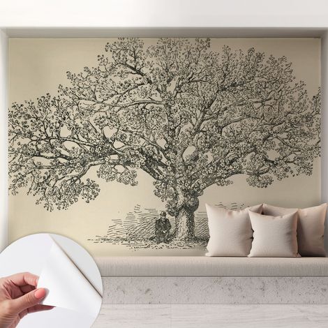 Carta da parati adesiva - lavabile - decorazione murale - per cucina - pellicola decorativa Illustrazione di un albero 208x146 cm (1/5)