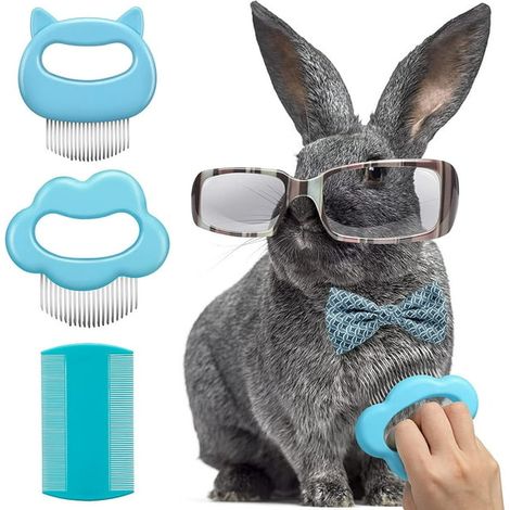 Kit de toilettage 3 pièces pour lapins : peigne à poils courts et longs, peigne de massage pour chats, peigne en coquillage, brosse douce pour le démêlage, peigne double face pour lapins, hamsters, la (1/5)