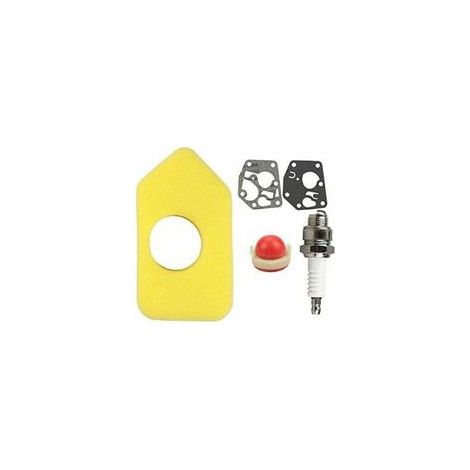 Vergaser-Reparatursatz 6/5000 für Briggs & Stratton 95900, 96900, 98900, 9C900 und 10A900