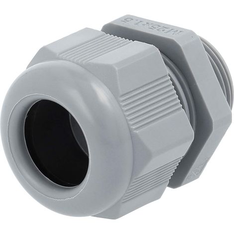 STEX24 Presse-étoupe en plastique - marque distributeur STEX24 M25x1.5 SKU-E VPE 50 Polyamide (PA) Longueur de filetage 9,0 mm - 1 Stück (1/2)