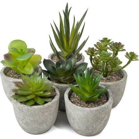 6 plantes d'intérieur artificielles succulentes, fausses plantes Mini succulentes avec pot pour mariages, bureaux, cuisines et salles de bains, pour les amateurs d'Art Déco (1/5)