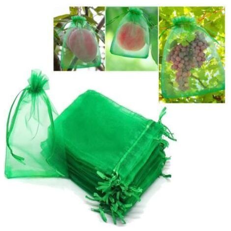 Obstschutzbeutel 30 x 40 cm – 50er-Packung, Netz für Weintrauben, Organzabeutel mit Kordelzug für den Garten, A (1/5)