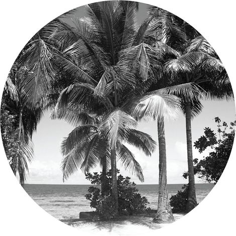 Papier peint intissé auto-adhésif rond  Thème Palmiers monochromes - 140 x 140 cm (1/5)