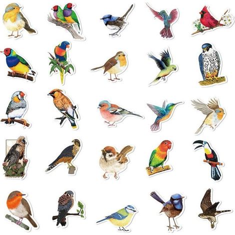 Sticker mural « Rêve bleu – Petits oiseaux » (Petit) (1/5)