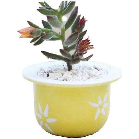 Mini-Sukkulenten-Blumentöpfe – Modern – Kaktus – Saftiger Blumentopf – Dekoration für drinnen, Zuhause, Büro – Gelb (1/5)