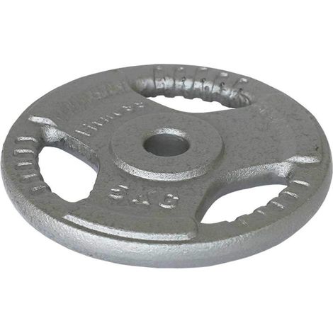 DISQUE EN FER AVEC PRISE - 25 KG