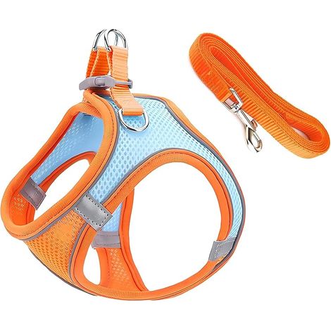 Harnais et Laisse pour Chat, Harnais Chaton Réglable, avec Bandes Réfléchissantes, Harnais Chaton Respirant pour Marche, Harnais Réglable pour Chat avec Bande Réfléchissante pour Le Jogging -L (1/5)