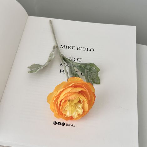 Tulipes artificielles haut de gamme – Bouquet floral décoratif pour salon ou table, arrangement réaliste de pivoines orange, 10 tiges, sans fil, idéal pour décoration intérieure