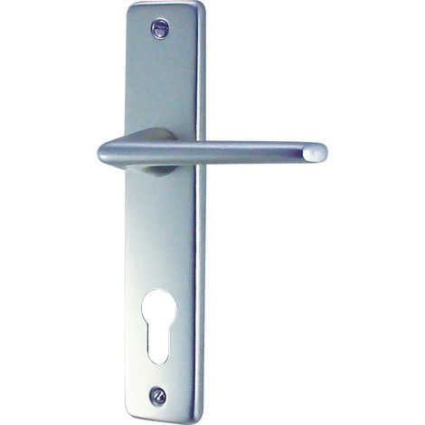 Manija de puerta con llave europea 165 mm plata aluminio - Dt2000