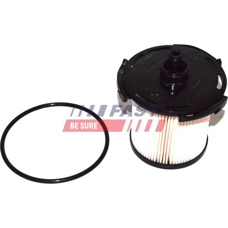 Filtro carburante FT39088 rapido