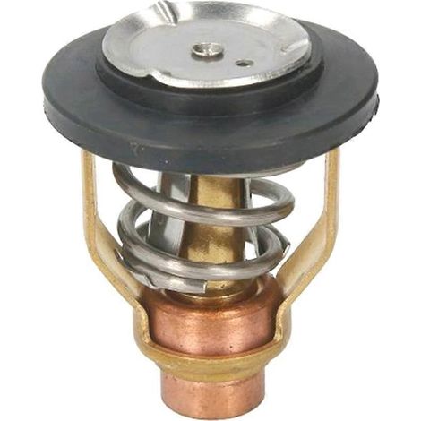 Thermostat pour moteurs hors-bord 4 temps F175 F200, références 6DA-12411-00, 6DA-12411-01 et 18-3636 (1/5)