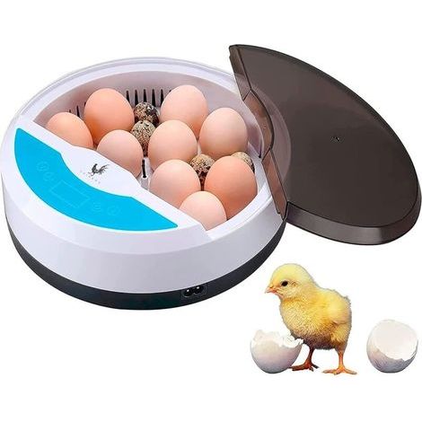 Automatic Egg Incubator - 9-Egg Chicken Egg Incubator with Temperature Control - Ideal for Poultry, Quail, Goose, Pigeon, Reptile - Home Use, Gift for Children (1/5)