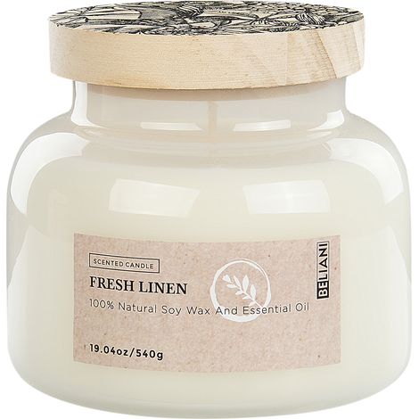 Vela perfumada 100% cera de soja mecha de algodón vidrio fragancia fresca ropa limpia Delight Bliss